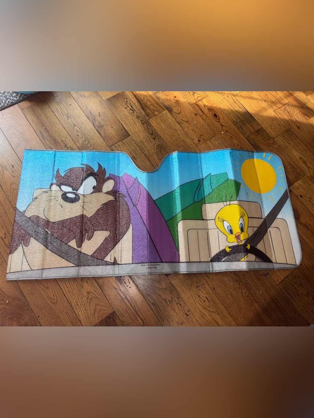 Vintage 90s Looney Tunes Tweety & Taz Car Sunshade - Colorful Cartoon Design